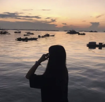 网红助手